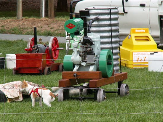 Stationary Engine and dog.