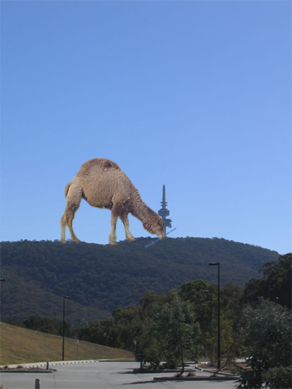 Camel eating Telstra Tower