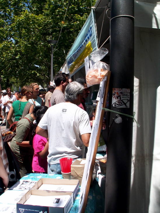 throng at the multicultural festival.